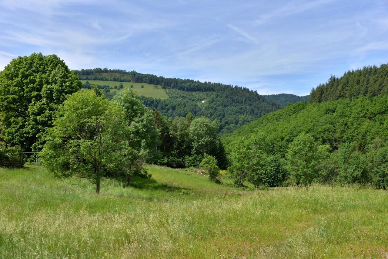 Gite De La Chapelle Des Mineurs Sainte-Marie-aux-Mines Dış mekan fotoğraf